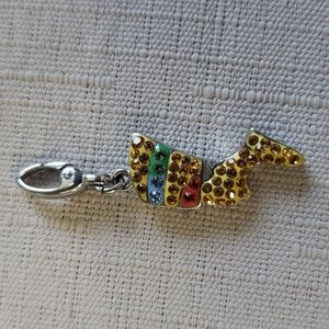 WTJ MULTI COLORED CHARM